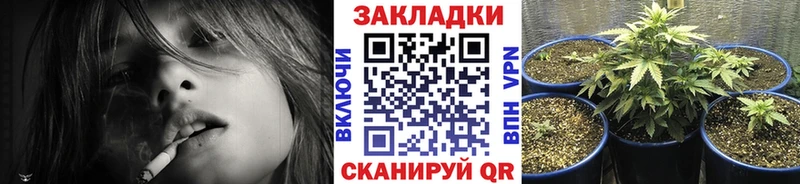 Цена Кирс ГАШ  Псилоцибиновые грибы  СК  blacksprut ссылка  Конопля  Меф мяу мяу 