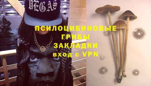 меф Белокуриха