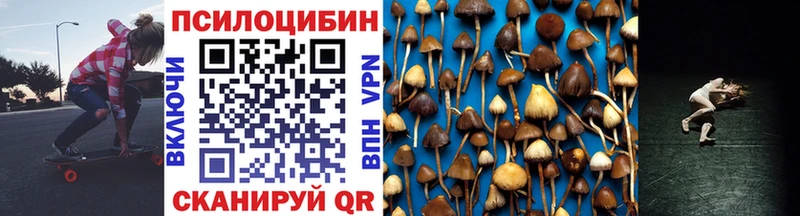 Псилоцибиновые грибы мицелий Кирс